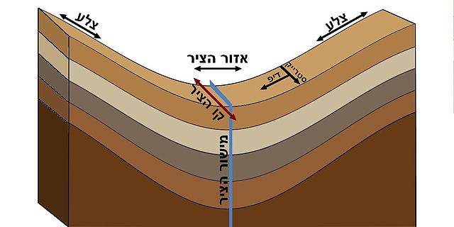 מקום שטוח תשחץ